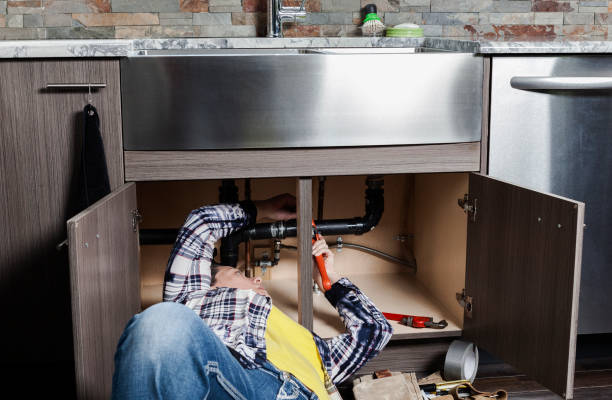 Best Plumbing Repair Near Me  in South Pekin, IL